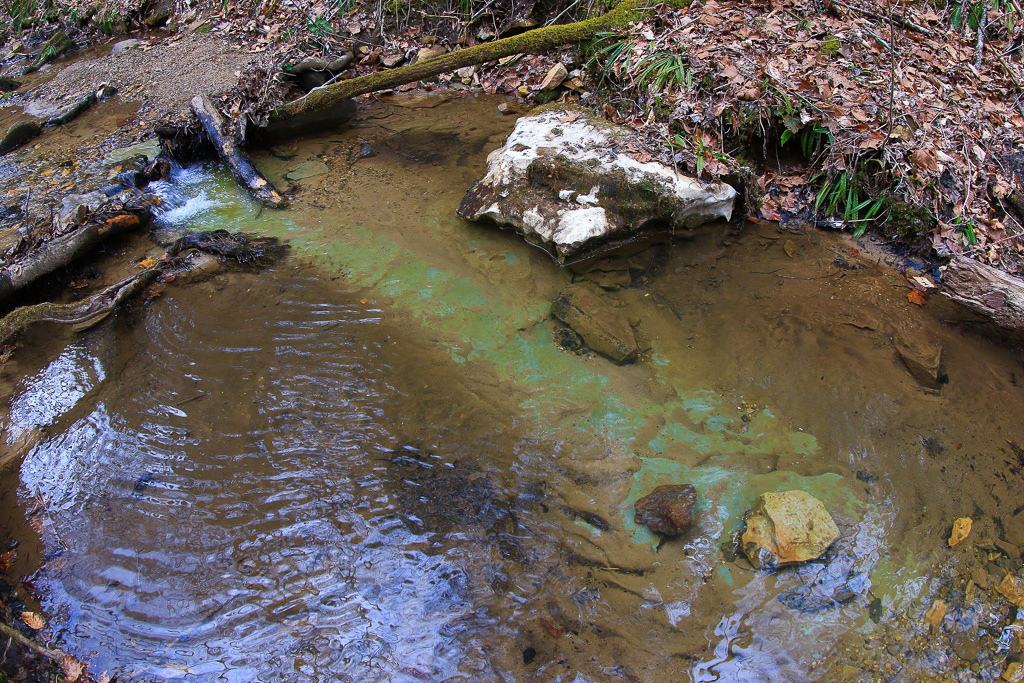 King Branch on the Rough Trail #221 - Gray's Arch Loop
