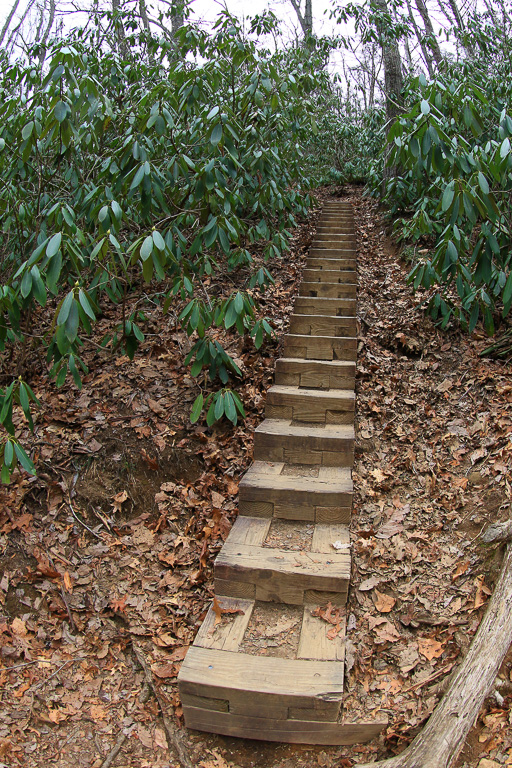 Another series of steps takes you out of the hollow to the ridge on the Rough Trail #221 - Gray's Arch Loop