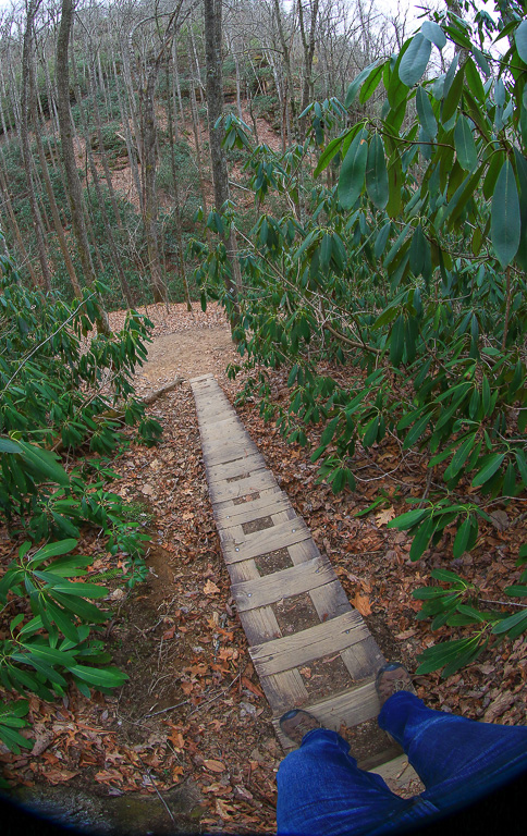 Looking back down the steps on the Rough Trail #221 - Gray's Arch Loop