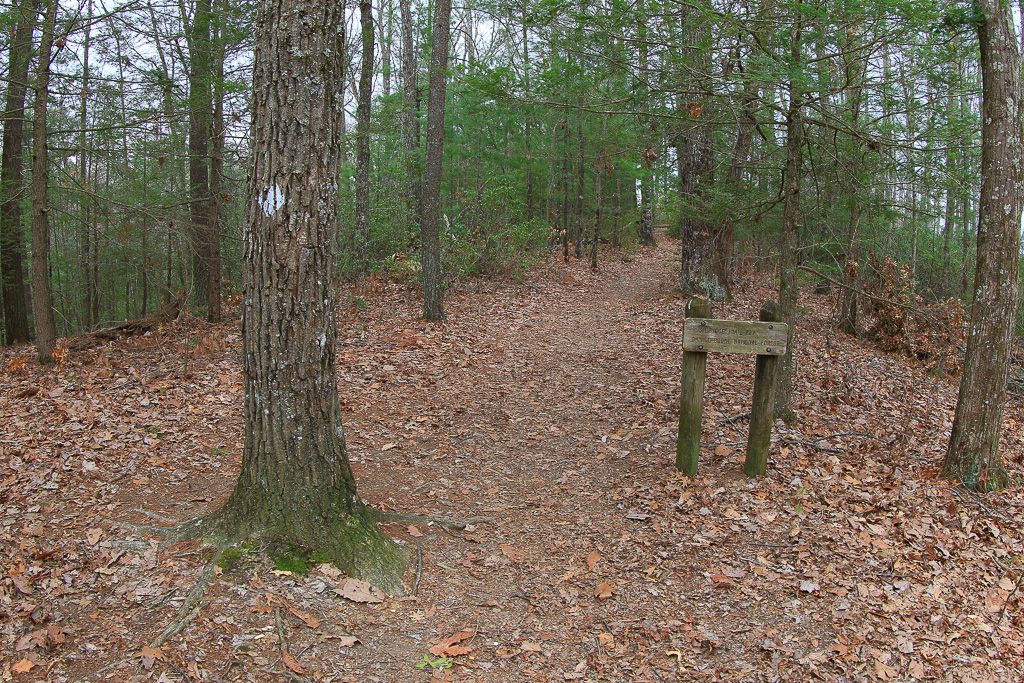 Junction with Rush Ridge Trail #227 - Gray's Arch Loop