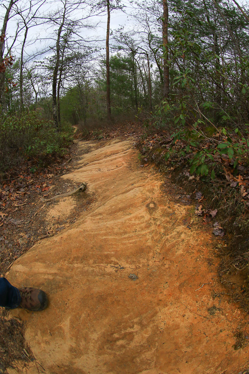 Ridge Trail #227 - Gray's Arch Loop