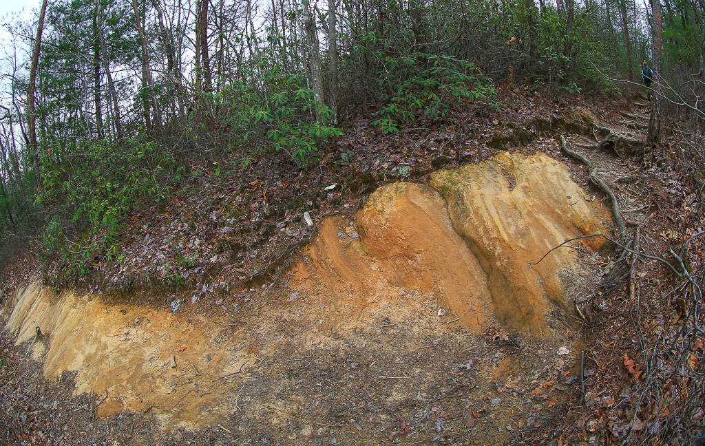 Ridge Trail #227 - Gray's Arch Loop