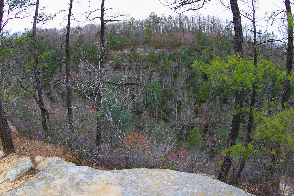 View of Pinch-Em_Tight Ridge along the Ridge Trail #227 - Gray's Arch Loop