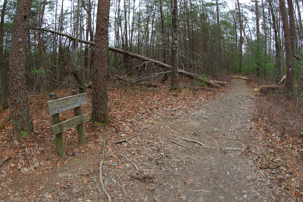 Junction with Pinch-Em_Tight Trail  #223 - Gray's Arch Loop