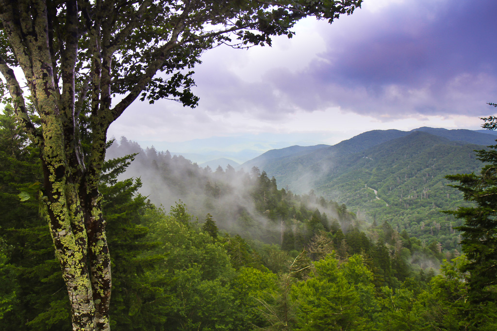Smoky mist rising - Great Smoky Mountains
