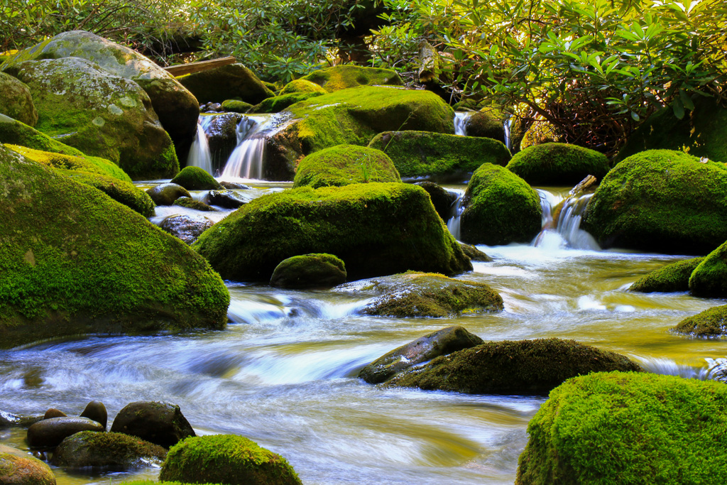Roaring Fork - Great Smoky Mountains