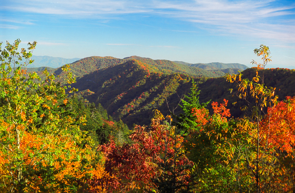 Autumn color - Great Smoky Mountains