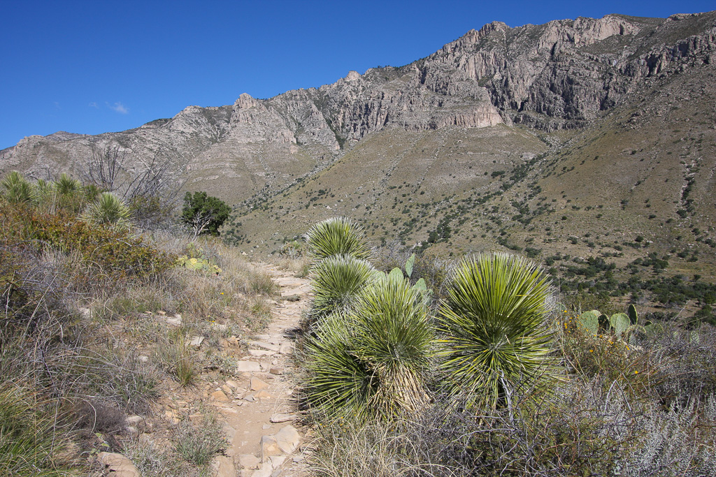Trail - Guadalupe Peak