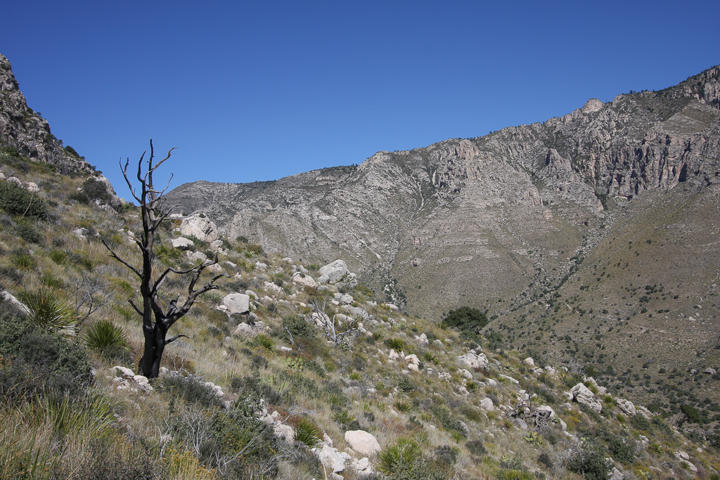 Canyon view - Guadalupe Peak