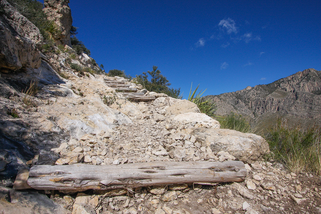 Log steps - Guadalupe Peak
