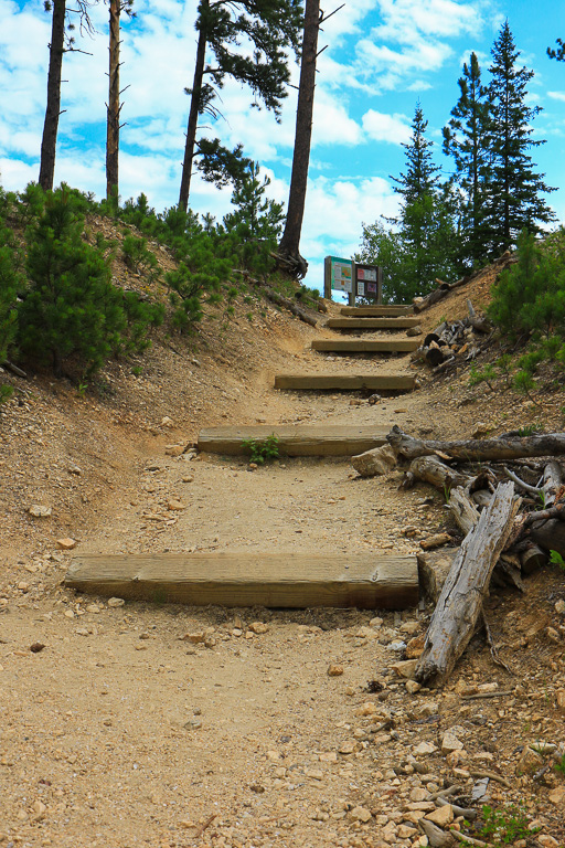 Trail begins to climb - Harney Peak