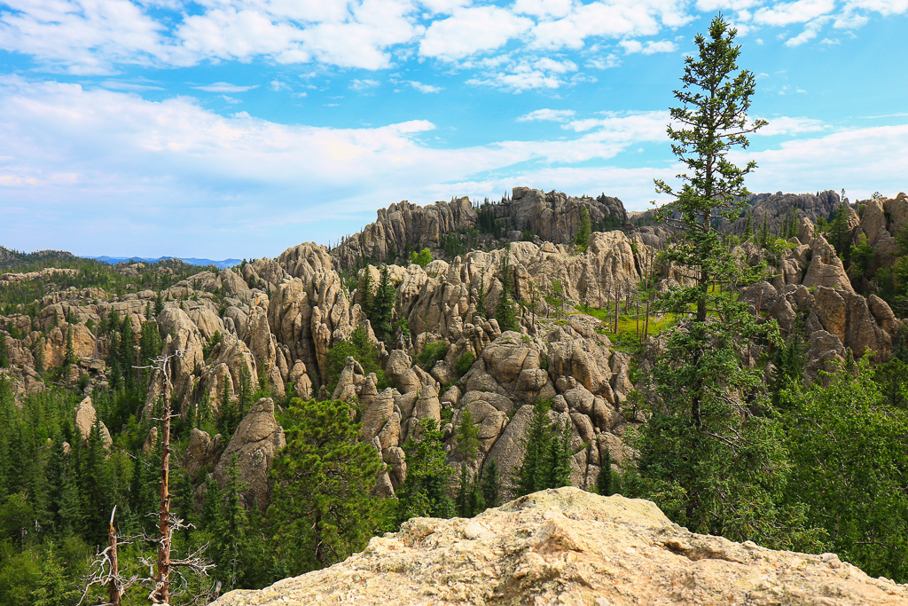 View from rocky outcrop - Harney Peak