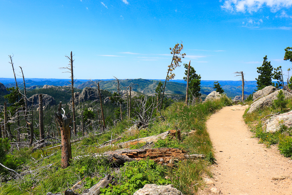 Trail view - Harney Peak