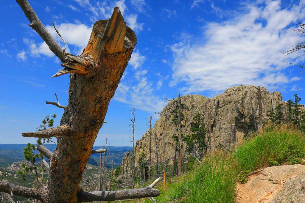 Wilderness vista - Harney Peak