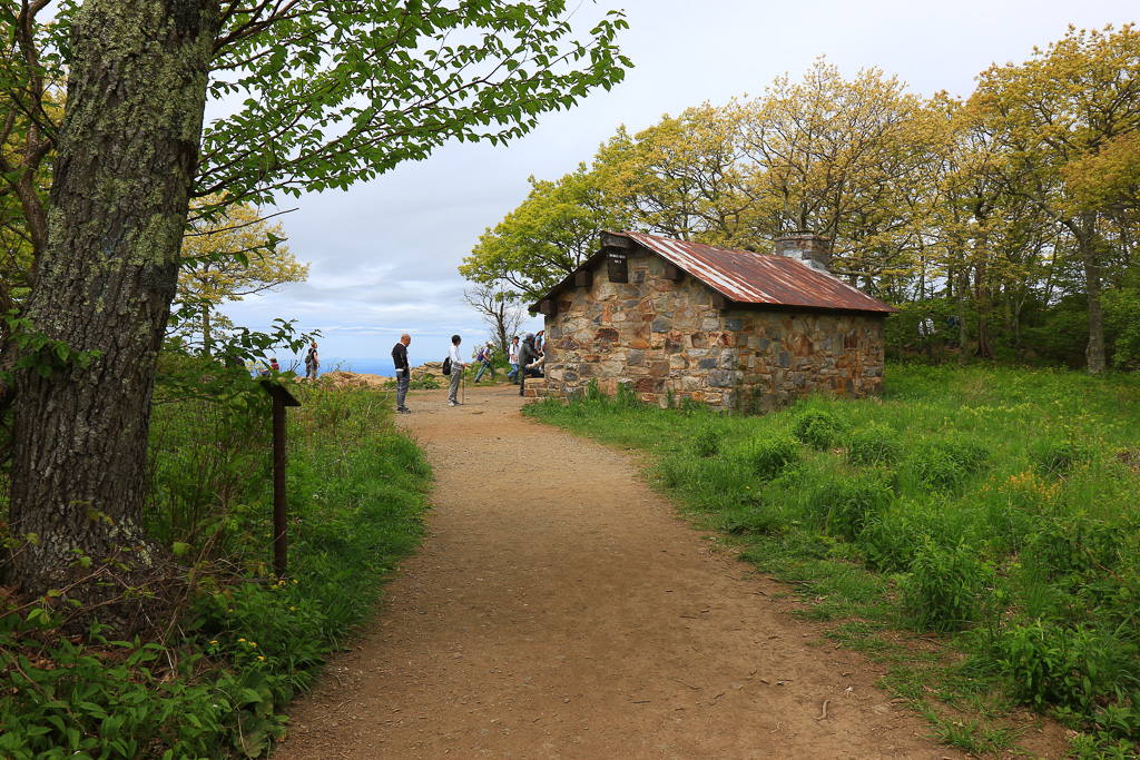 Byrd's Nest Shelter #2 - Upper Hawksbill Trail