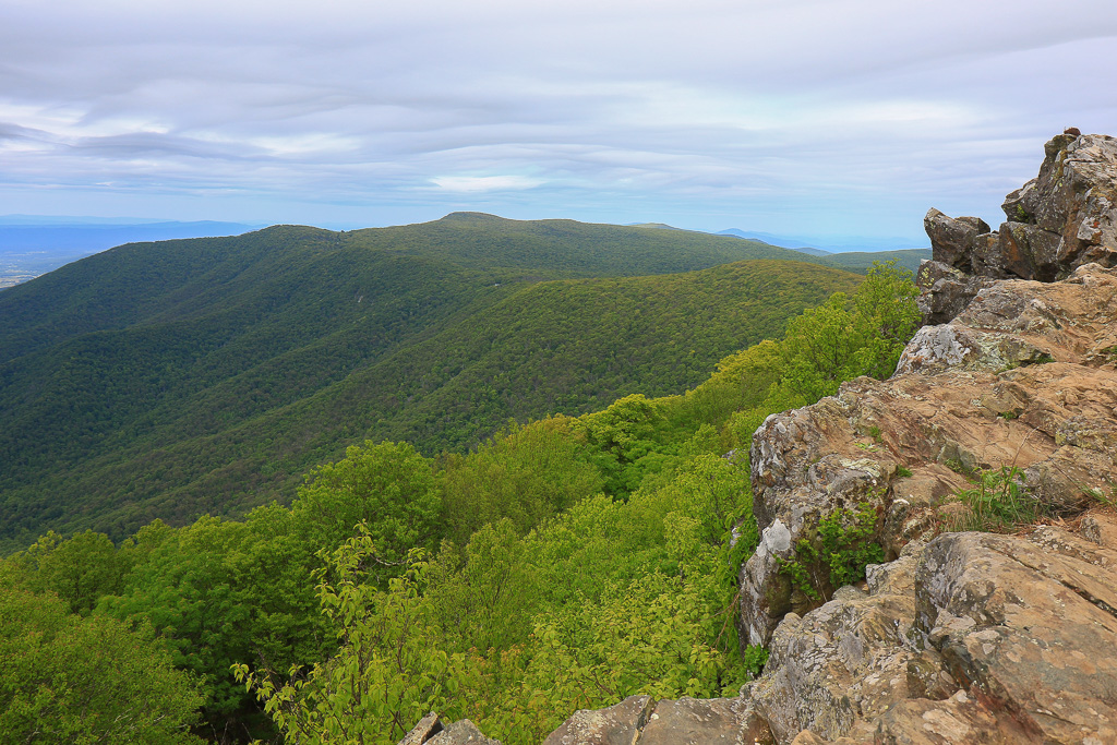 Sweeping View - Upper Hawksbill Trail