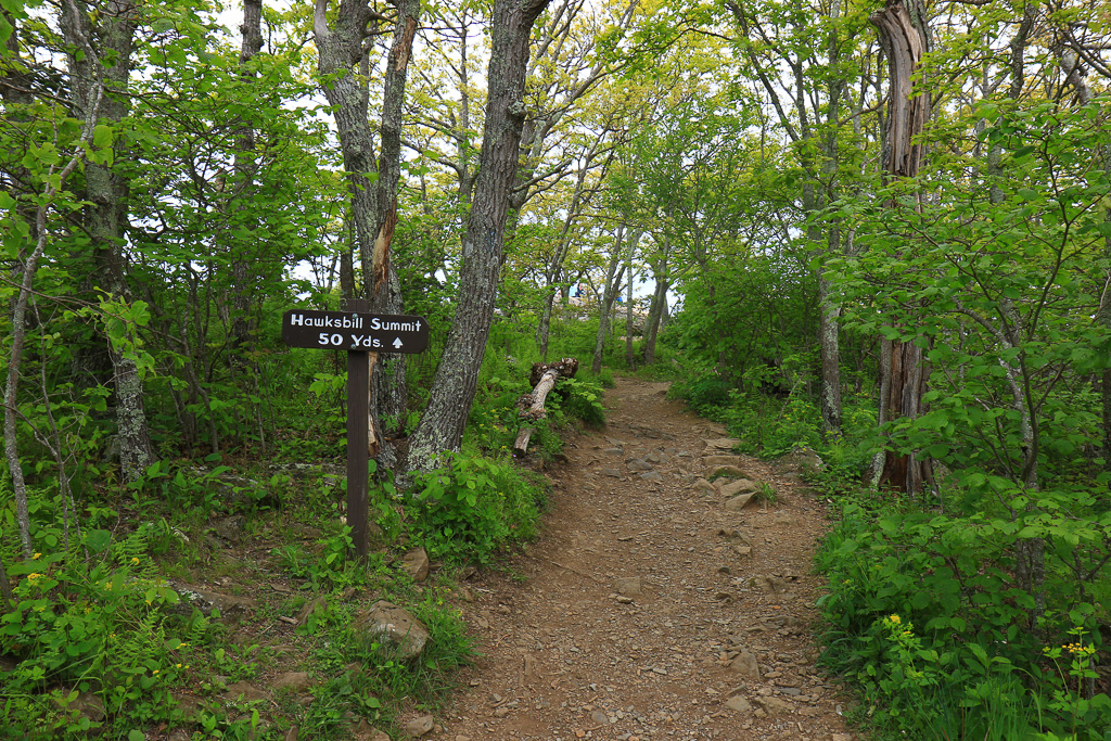 50 Yards to the Summi - Upper Hawksbill Trail