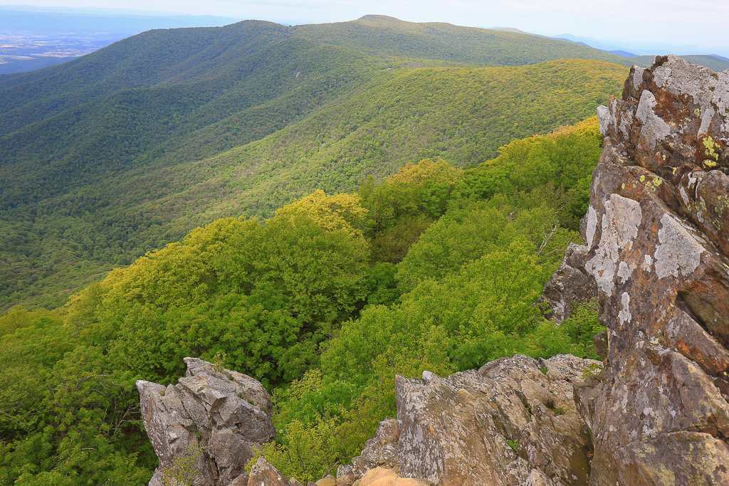 Rolling Shenandoah Hills - Upper Hawksbill Trail