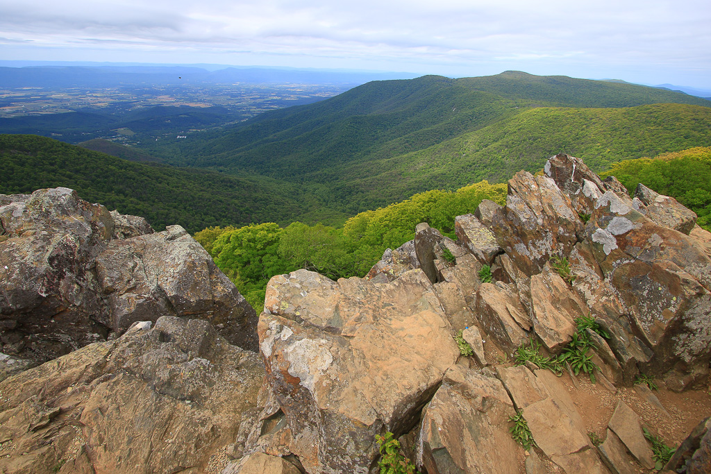 Jagged Summit Rocks - Upper Hawksbill Trail