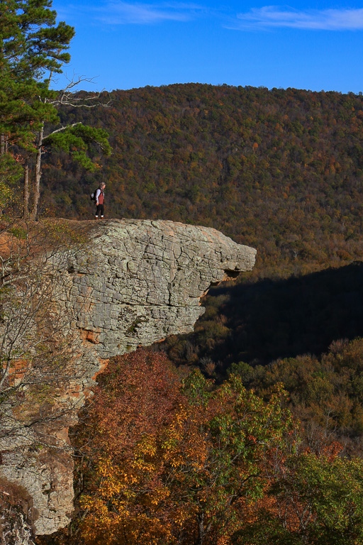 Sookie making her way to the edge - Hawksbill Crag