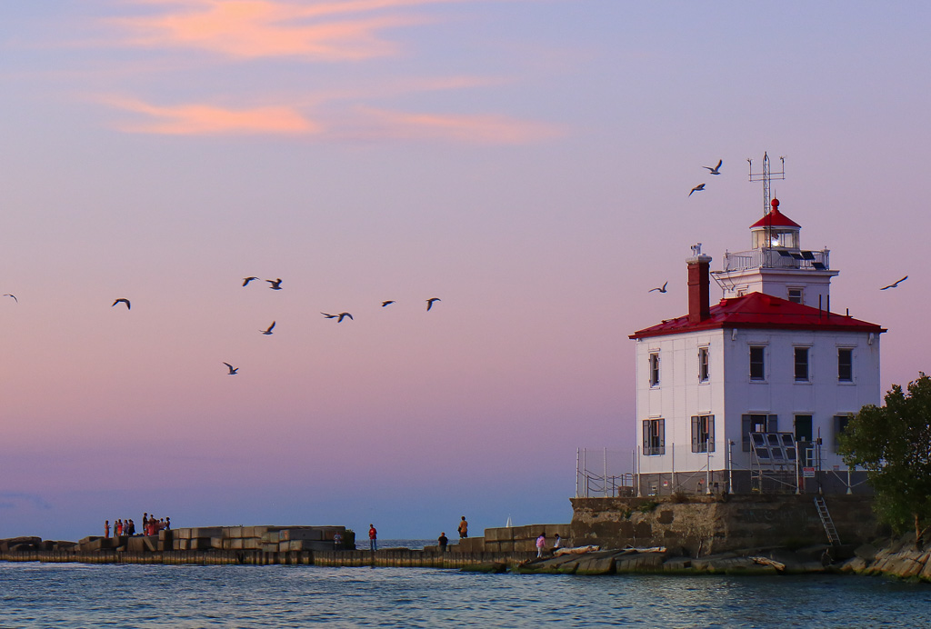 Lighthouse and seagulls - Headlands Dunes