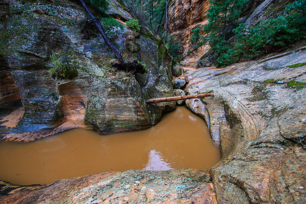 Pothole - Hidden Canyon Trail