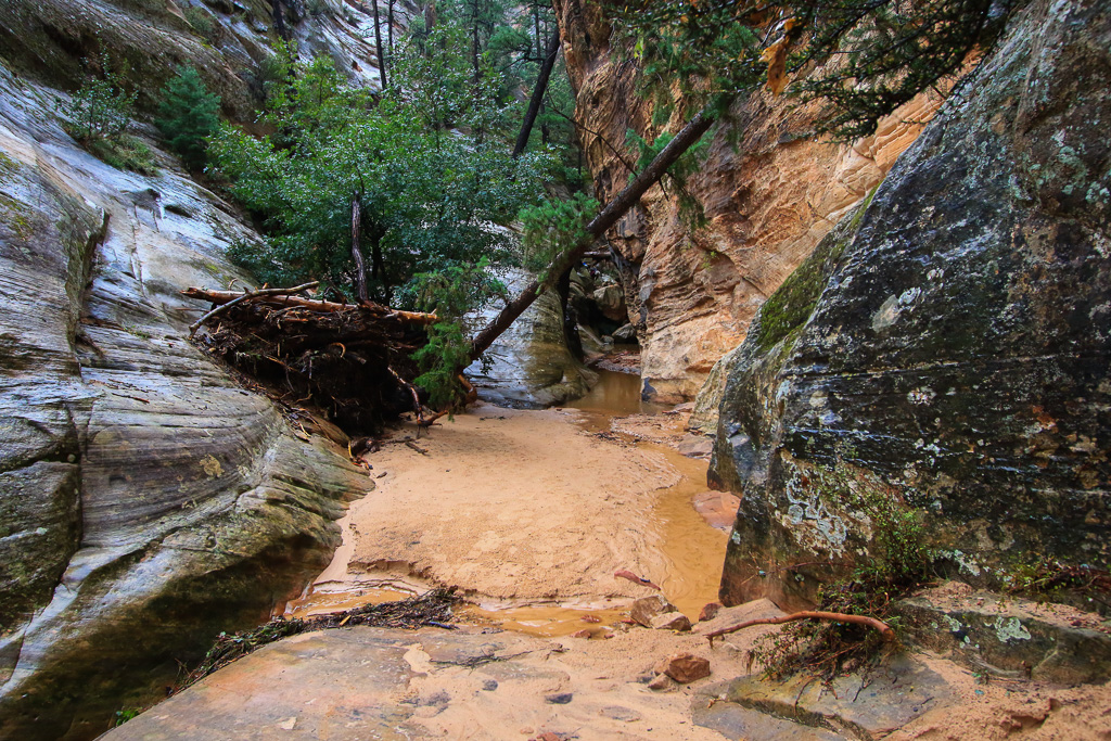 Mouth of the Canyon - Hidden Canyon Trail