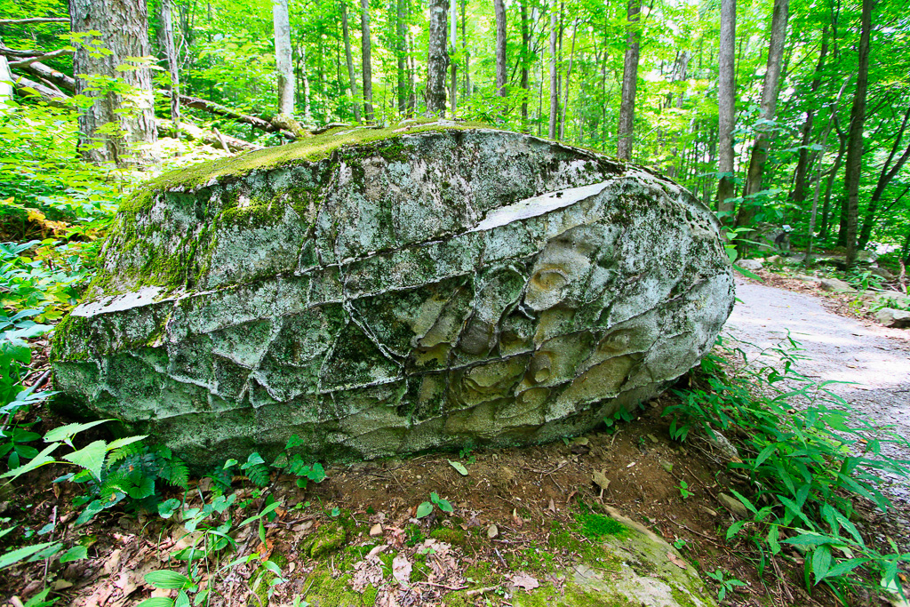 Trailside boulder - Honeycomb Rocks Trail