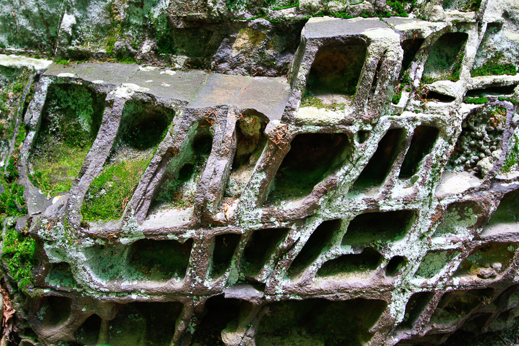 Honeycomb formation - Honeycomb Rocks Trail