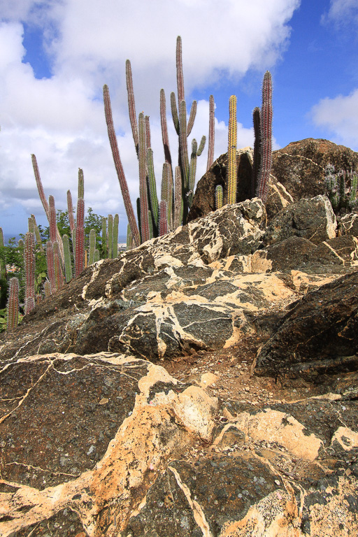 Intrusive layers form a pattern on the rocks - Hooiberg