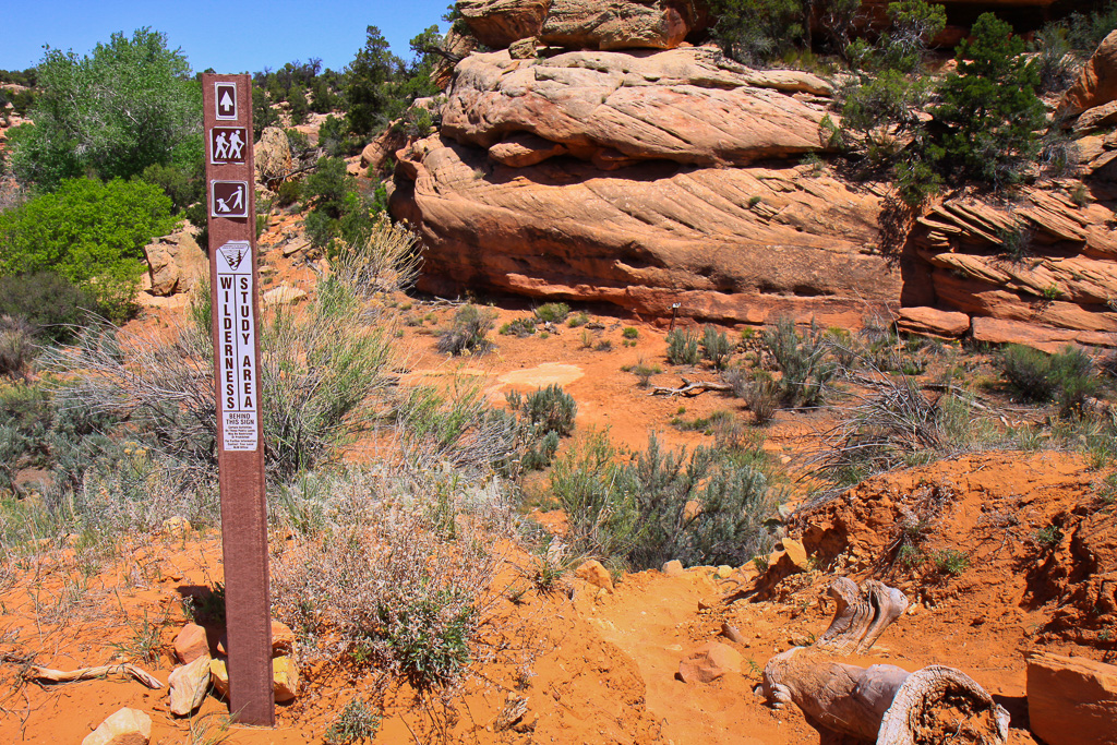 Trailhead - South Fork of Mule Canyon