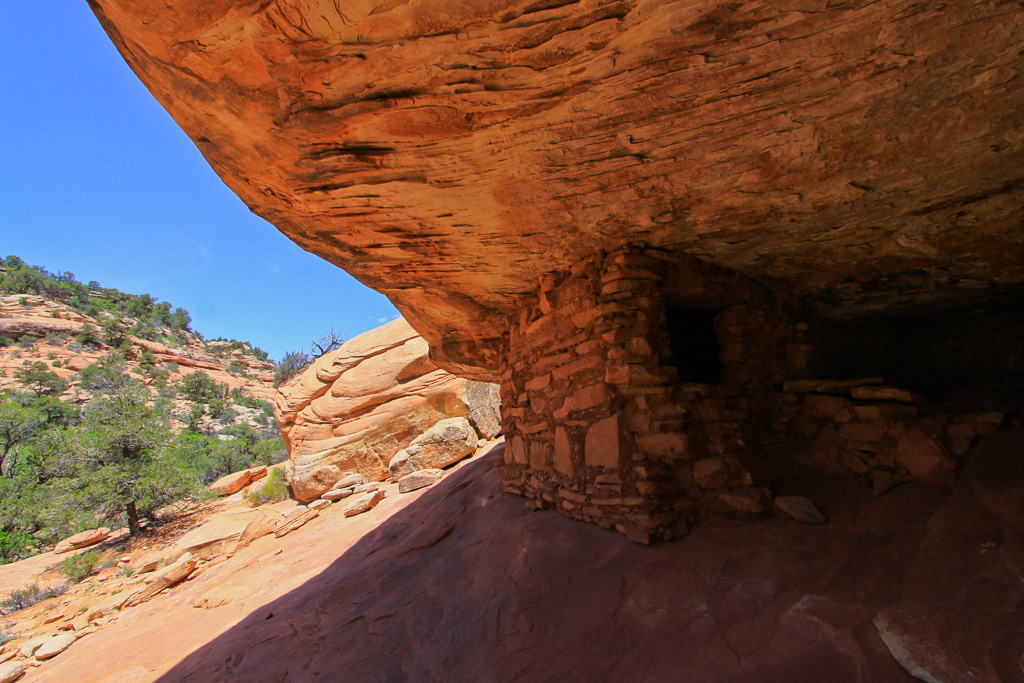 Cliffside view - South Fork of Mule Canyon