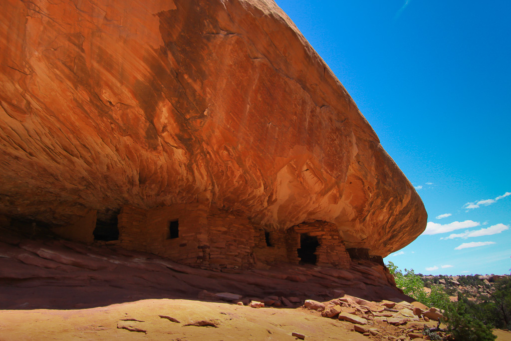 The alcove - South Fork of Mule Canyon