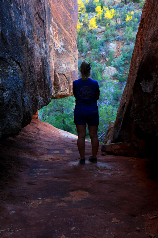 Sook - South Fork of Mule Canyon