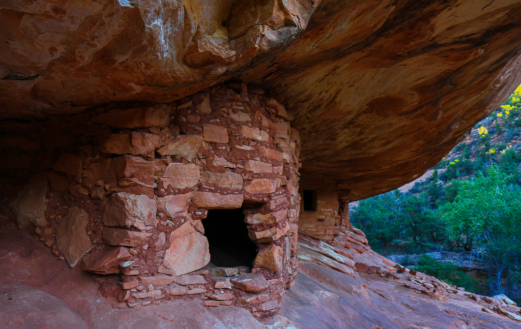 Overhang - South Fork of Mule Canyon