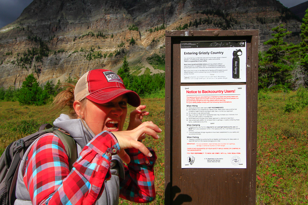 Sookie bear - Apikuni Falls Trail, Glacier National Park, Montana 2014