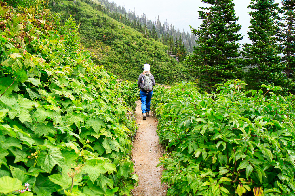 Sookie hiking - Iceberg Lake