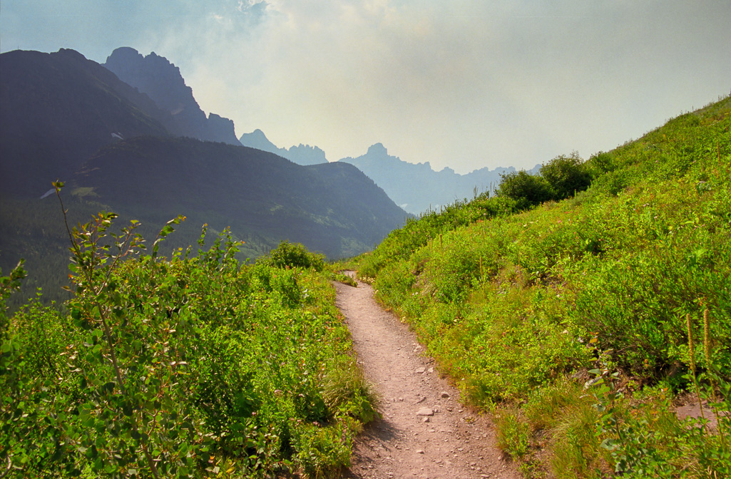 Looking back - Iceberg Lake