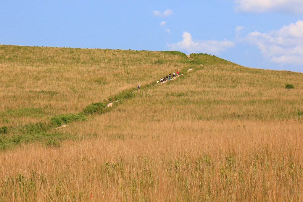 The Crew climbing the hill - Konza Prairie Nature Trail