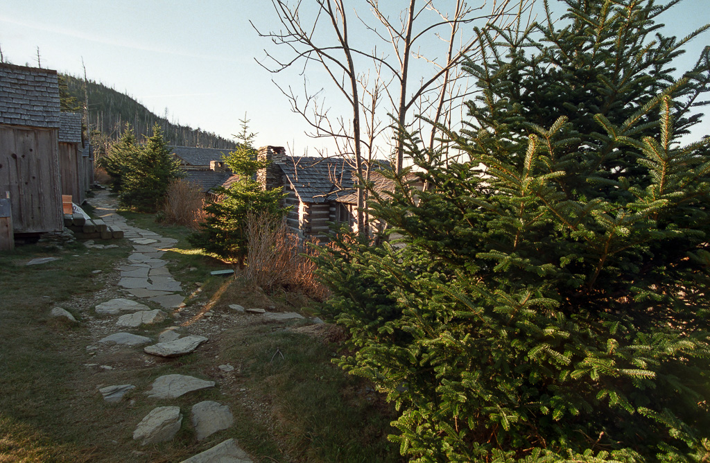 Cabin path - Mount LeConte