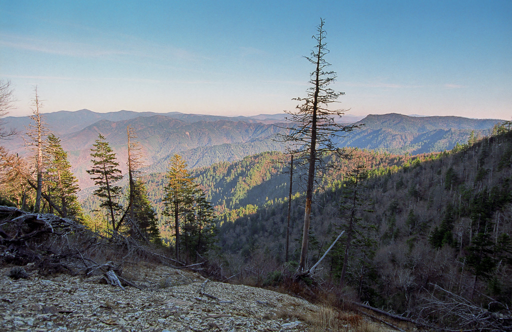 View from the cables section - Mount LeConte