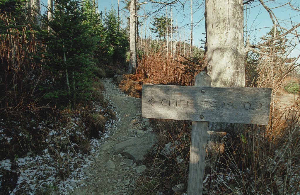 Cliff Tops - Mount LeConte