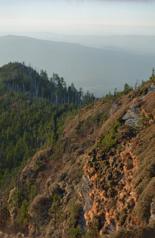 Cliff Tops - Mount LeConte