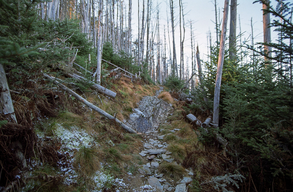 Rocky path - Mount LeConte