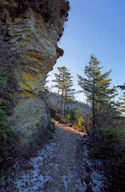 Lichen covered cliff - Mount LeConte
