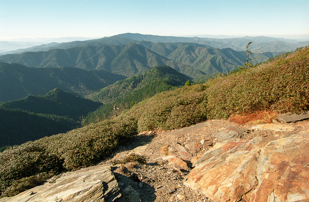 Myrtle Point  - Mount LeConte