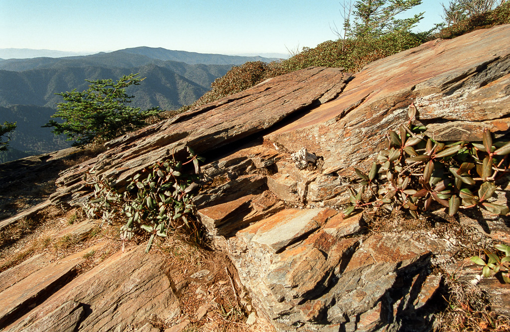 Myrtle Point  - Mount LeConte