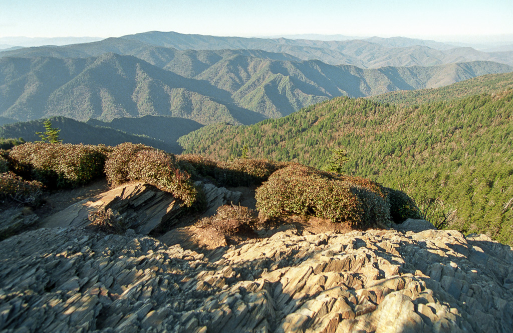 Myrtle Point  - Mount LeConte