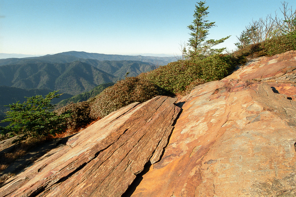 Myrtle Point  - Mount LeConte