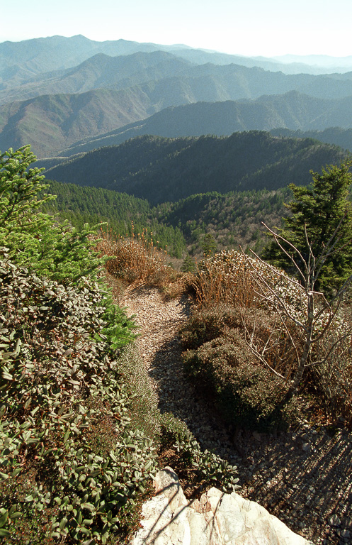 Myrtle Point  - Mount LeConte